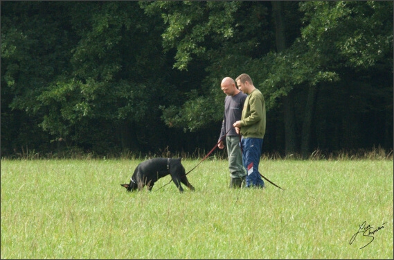 Summer training camp - Jelenec - 2007